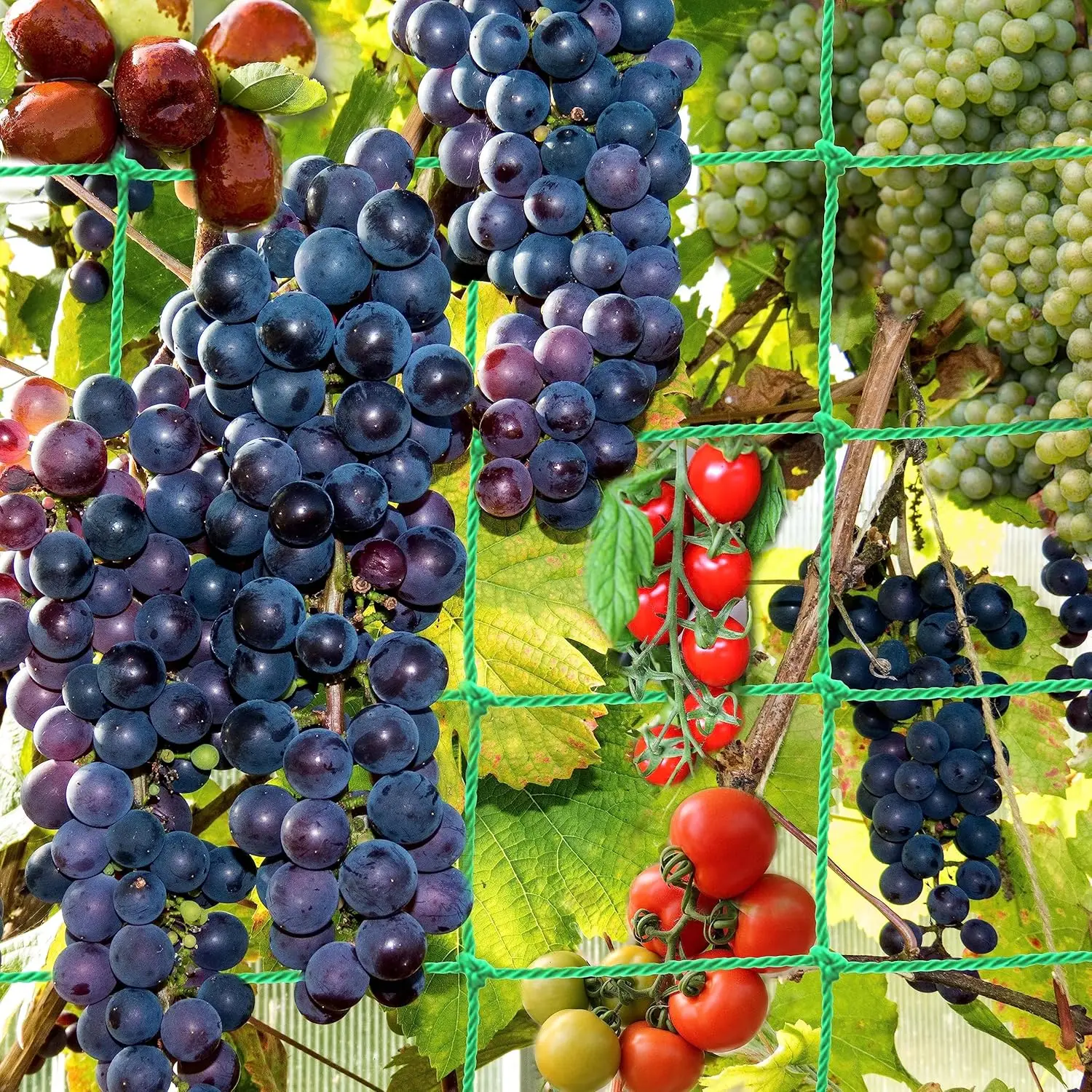 1 قطعة شبكة تعريشة الحديقة شديدة التحمل للخيار والكرمة والفواكه والخضروات نباتات الطماطم شبكة تعريشة لتسلق النباتات الكرمة #4
