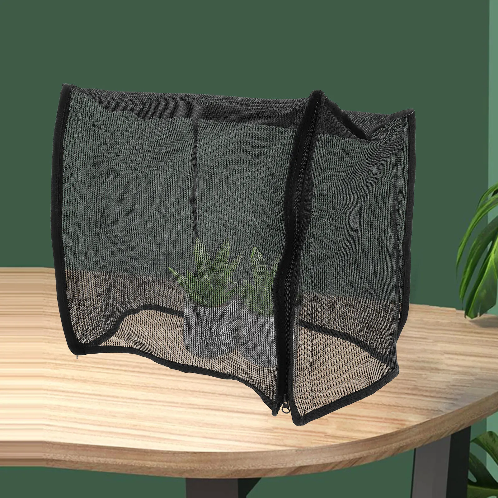 Mini Succulent Greenhouse for Indoor Outdoor Use Weatherproof Compact Tabletop Plant Display Box with Water Reservoir Base Small
