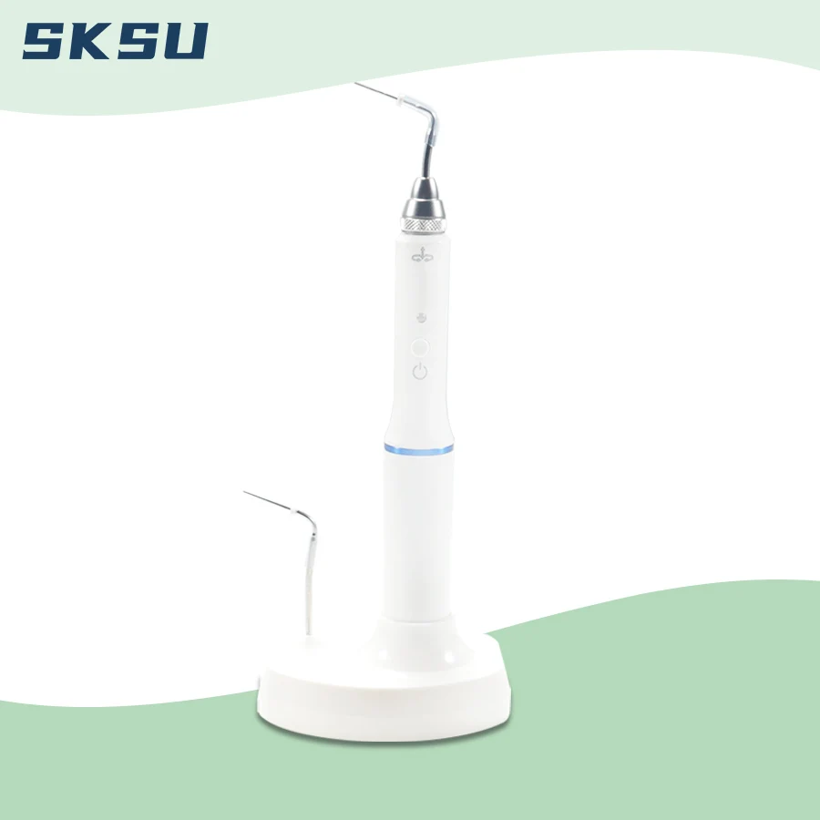 Dental Cordless Gutta Percha Obturation Pen System napełniania kanałami korzeniowymi + 2 końcówki 3 sekundy Szybkie ogrzewanie Dental Gutta-percha