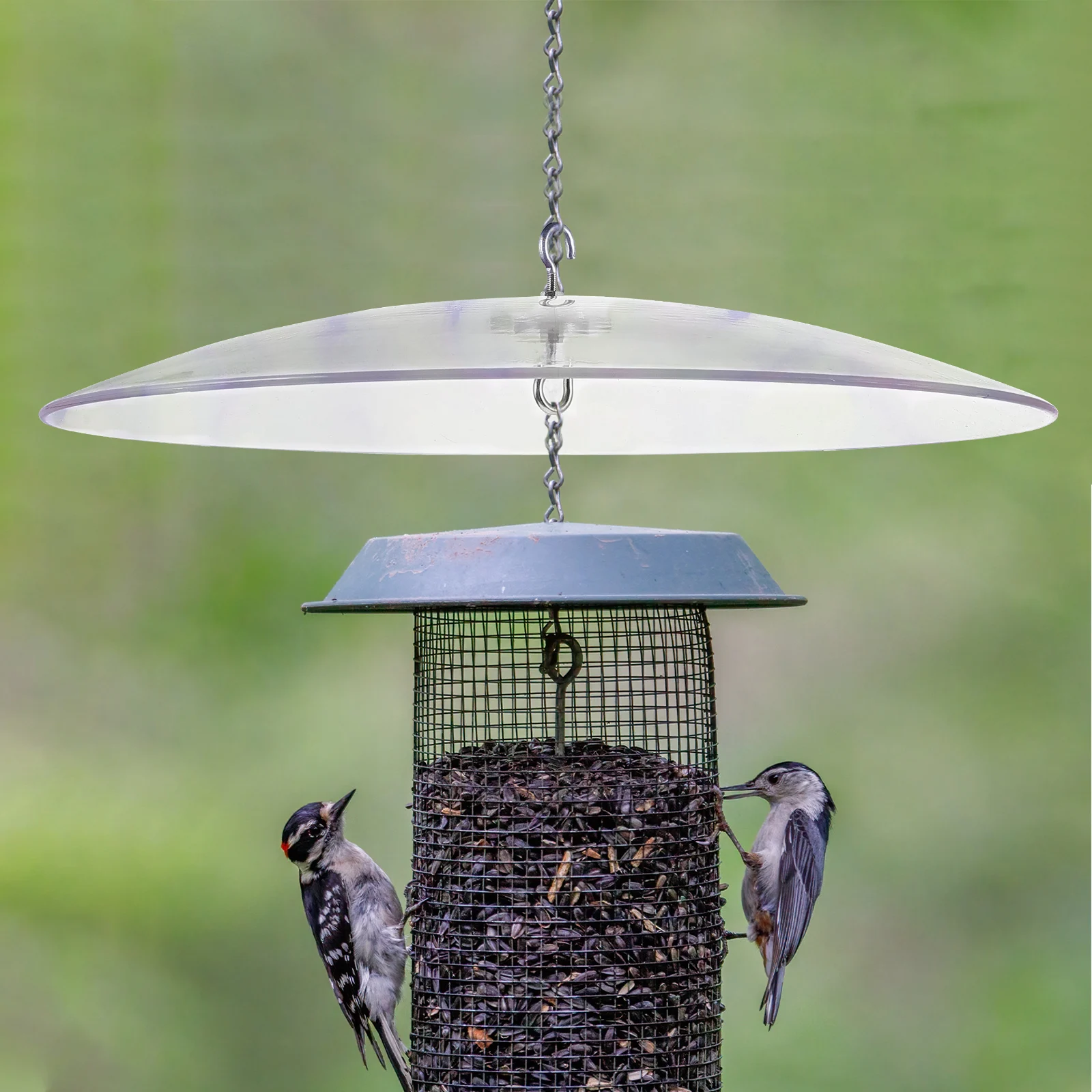 

Rain Proof Bird Feeding Cover Plastic Dome Hook Hanging Feeder Umbrella Small Feeders Protector Anti Rust Durable Outdoor Pet
