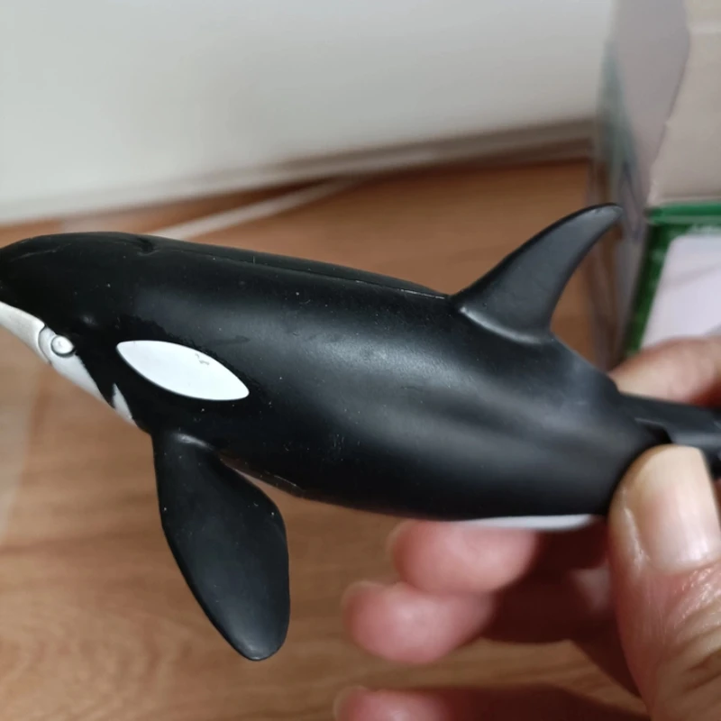 TAKARA TOMY Anlia Marine Animal Model Killer Whale Parent-child Floating Version Collection Children\'s Toy Birthday Gift