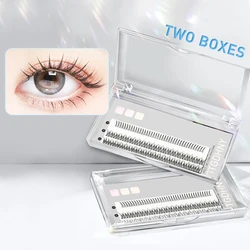 Two Boxes DIY Lashes A/M Shape Spikes Cluster Eyelash Extension FishTail Mix 3D Heat Bonded False Individual Makeup Premade Fan