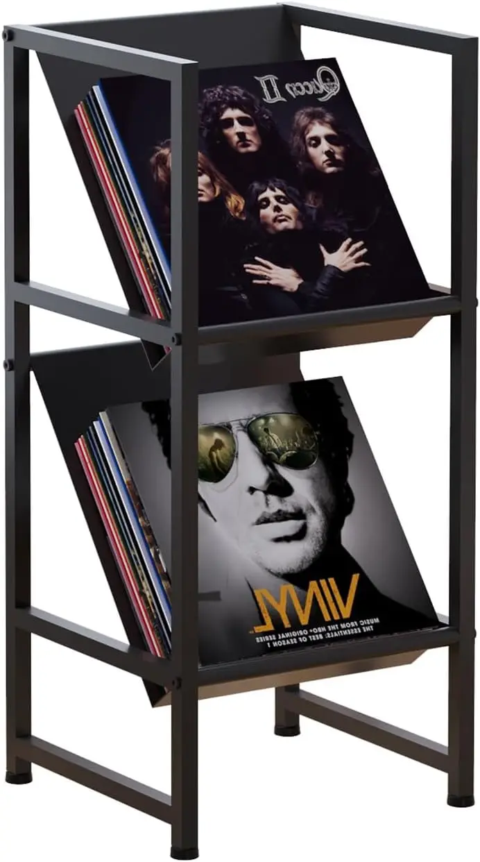 

2-Tier Black Metal Vinyl Record Storage, Space-Saving LP Holder for Collection