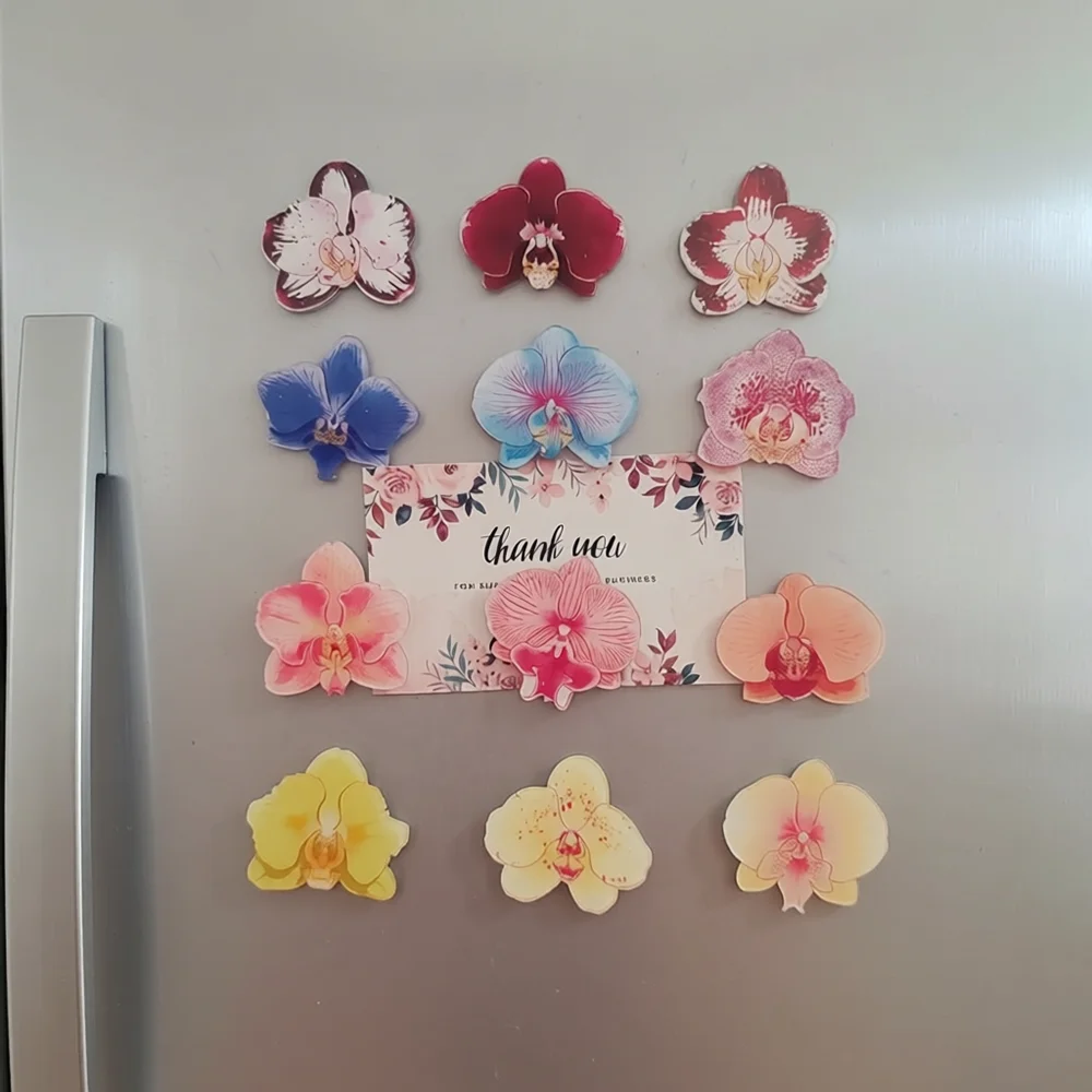

6pcs Beautiful Phalaenopsis Flower Refrigerator Magnets Cute Plants Refrigerator Magnets Whiteboard Sticker Decorative