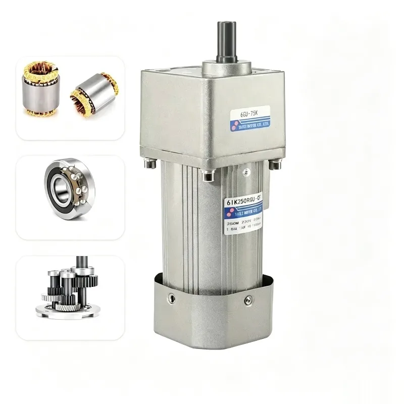 200W 250W Micro AC Motor Kit 220V Gear Motor Speed Forward and Reverse Controller+Single Phase Asynchronous Motor 50/60HZ