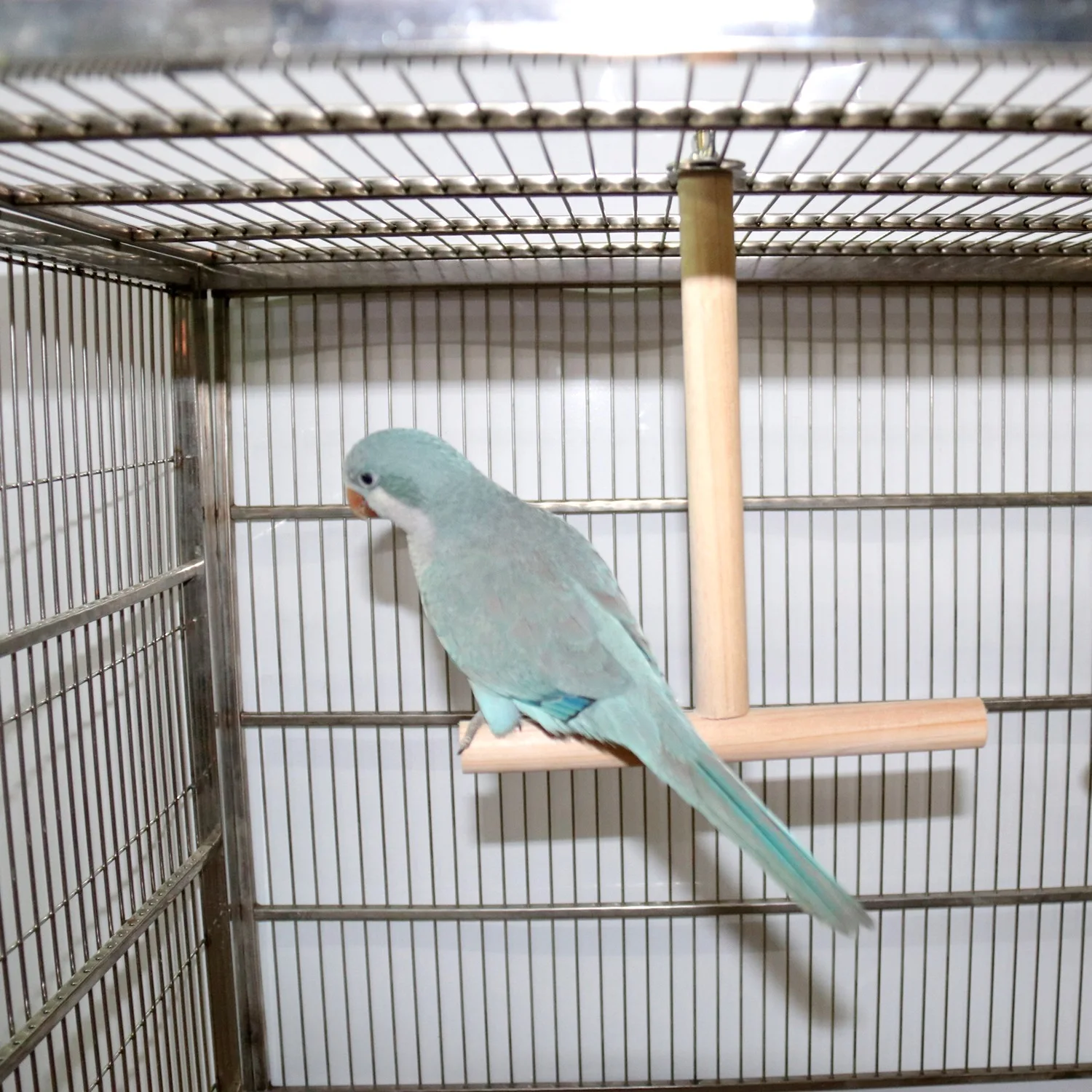 Parrot toy stand stick stand pole T-shaped bird stand stand perch bird toy bird cage accessories bird supplies