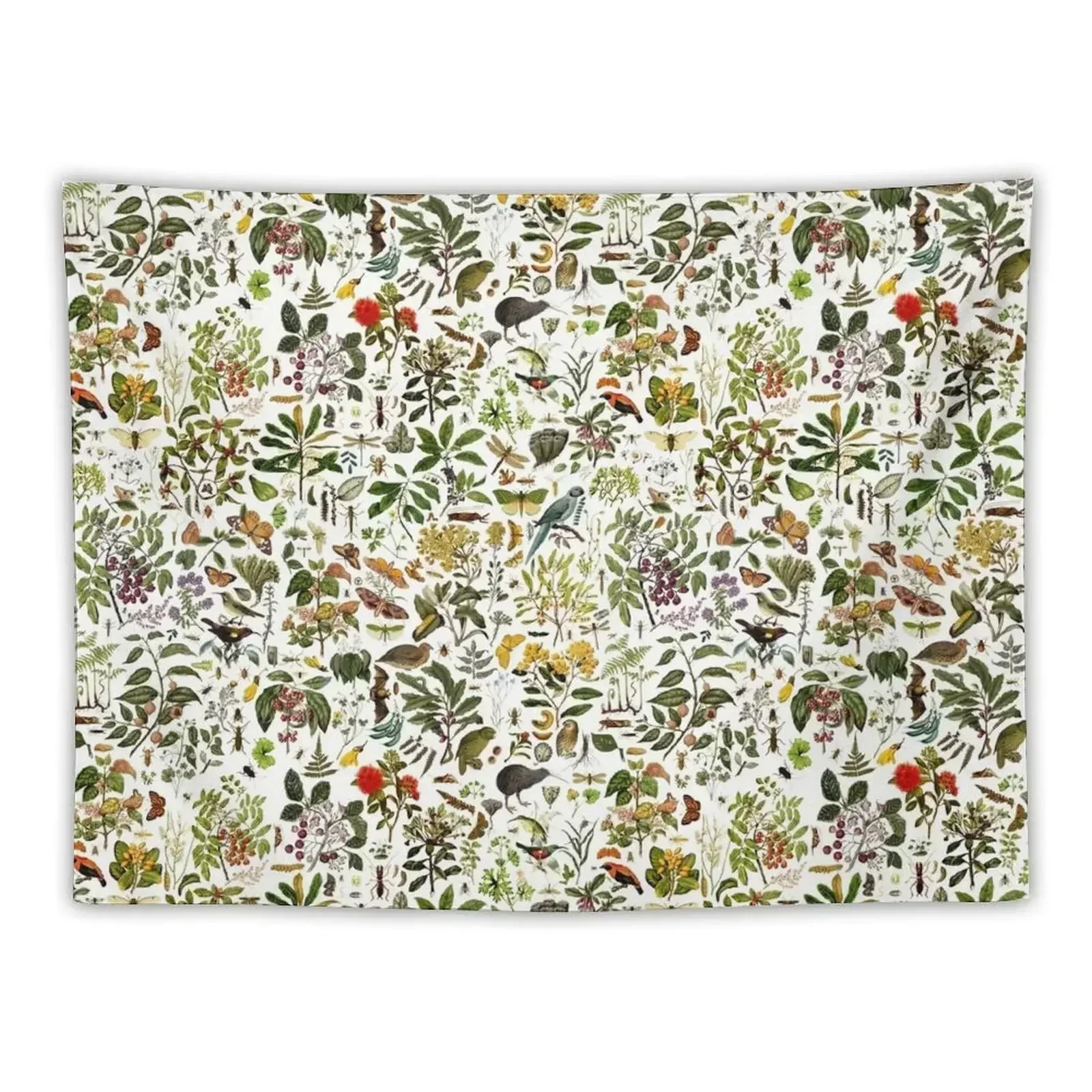 

New Zealand Biology Tapestry Wall Decorations Decoration Room Tapestry
