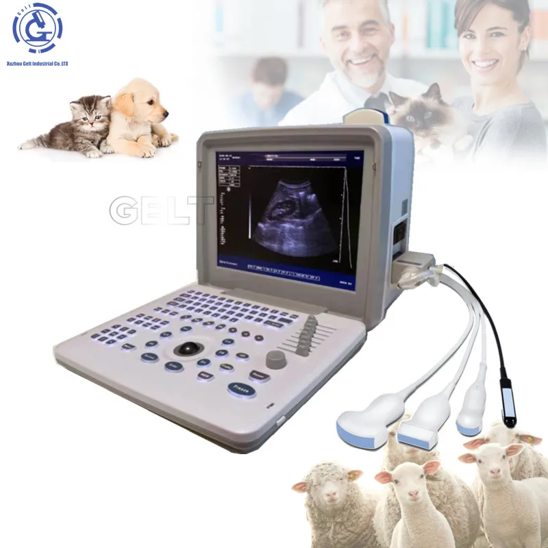 

Portable Veterinary Ultrasound Machine Scanner Veterinary Ultrasound For Cattle Horses Sheep Animals