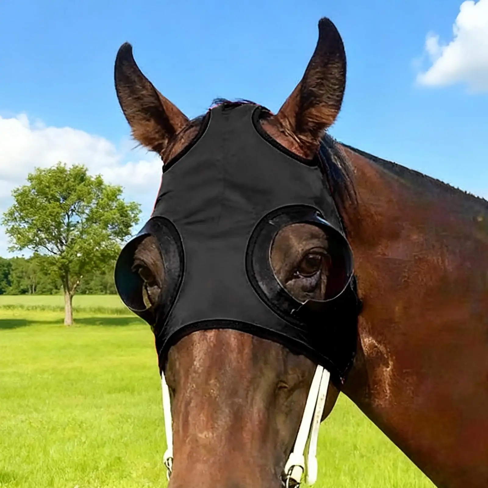 

Защитные шторки для глаз лошади с дышащей сеткой и защитой от песка, для тренировок и соревнований по конному спорту, для верховой езды и скачек