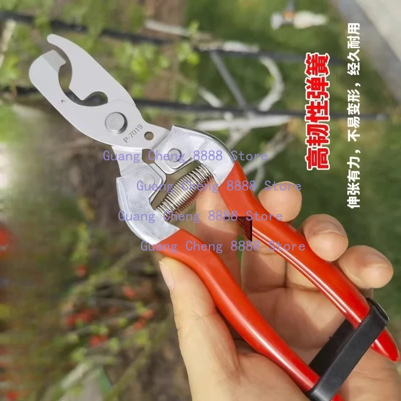 Suitable for Taiwan Original Sakawada Branch Bud Carving Scissors Stainless Steel Bud Carving Tool