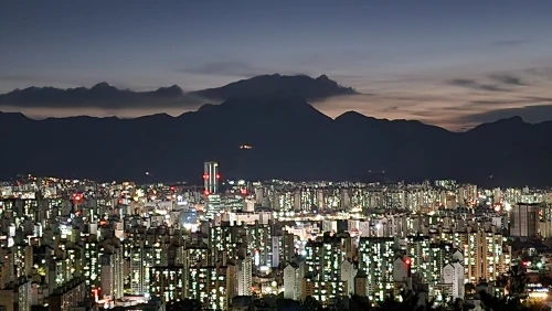 리뷰 사진