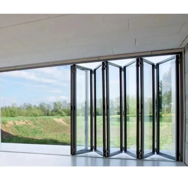 

Звукоизолирующая внутренняя алюминиевая складная дверь черного цвета с раздвижной системой и москитной сеткой