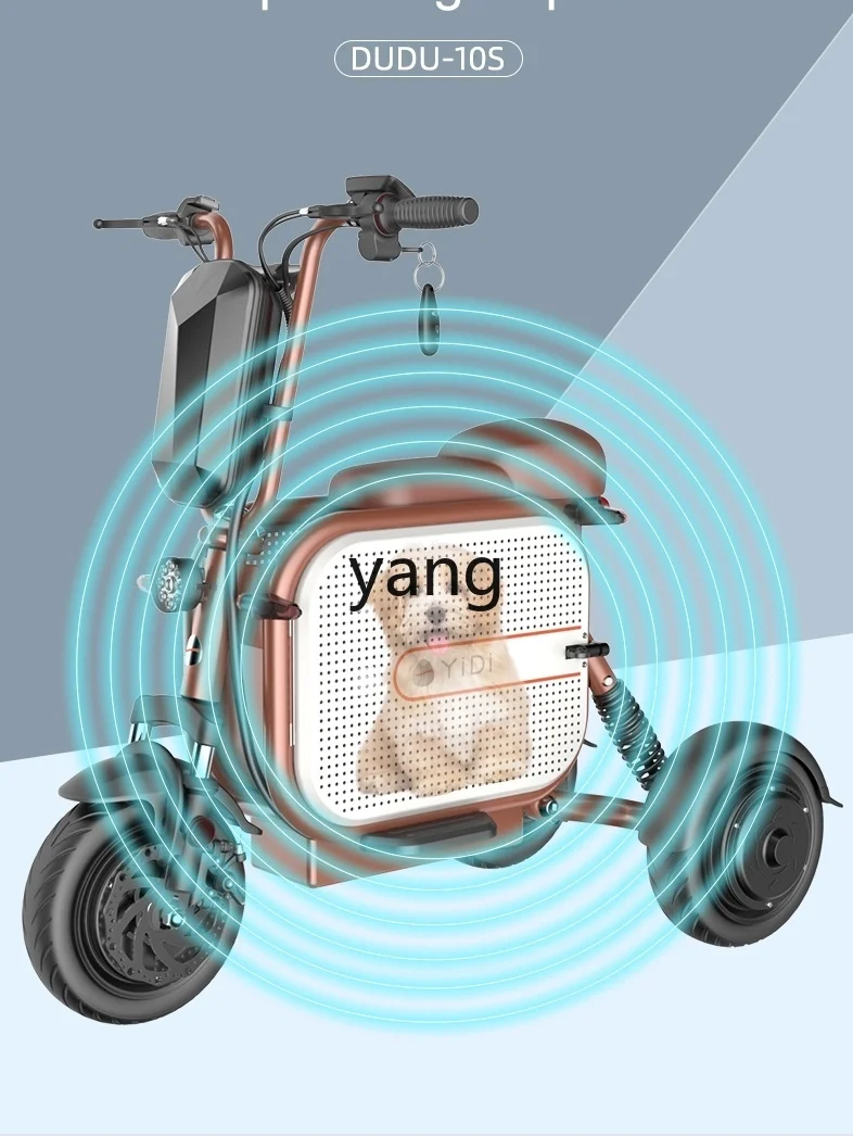 LTT folding electric four-wheeler old man electric scooter small battery car