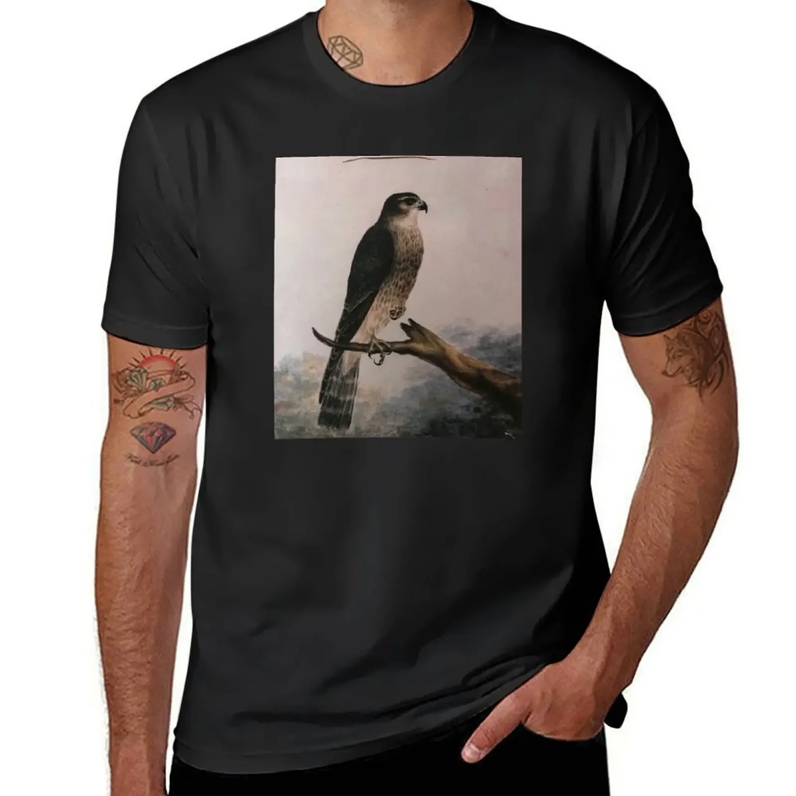 Merlin, painted by Emily Bront? T-Shirt oversized t shirt sports fans aesthetic clothes heavy weight t shirts for men