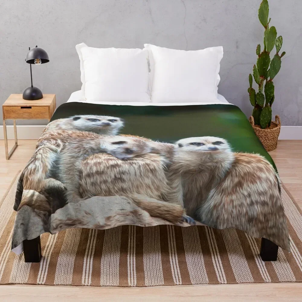 Meerkat Family(digital painting) Throw Blanket Hair Comforter Blankets