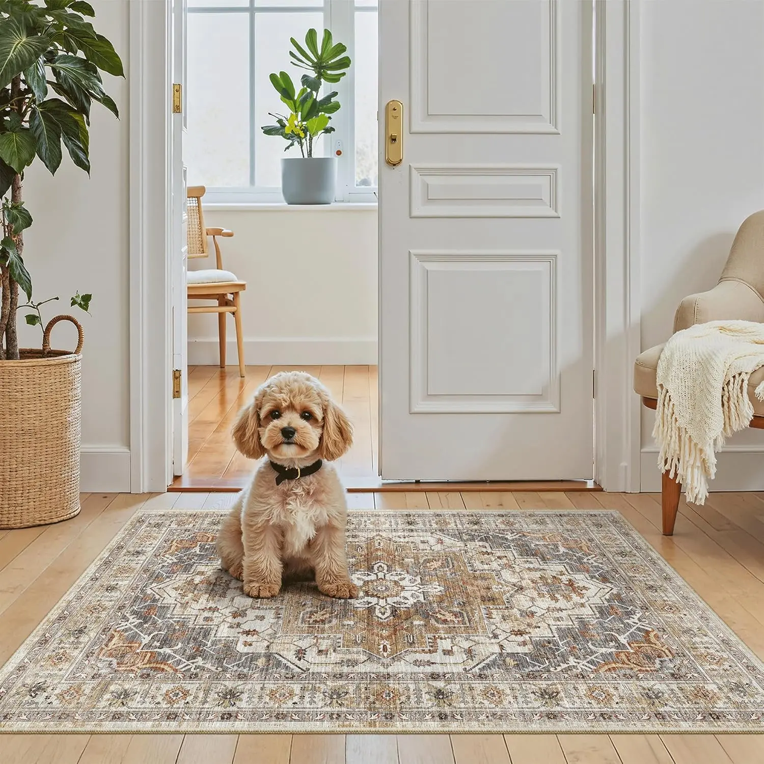 Washable Area Rug 2x3, Non-Slip Small Entryway Rug, Low Pile Vintage Door Mat for Indoor Front Door Bedroom Kitchen Laundry, Turmeric/Grey