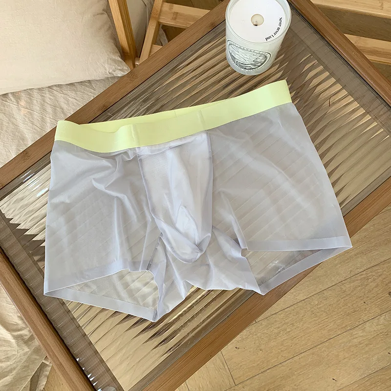 Celana dalam pria, pakaian dalam mulus transparan, celana Boxer seksi Ultra tipis, bernafas, cepat kering kantong U