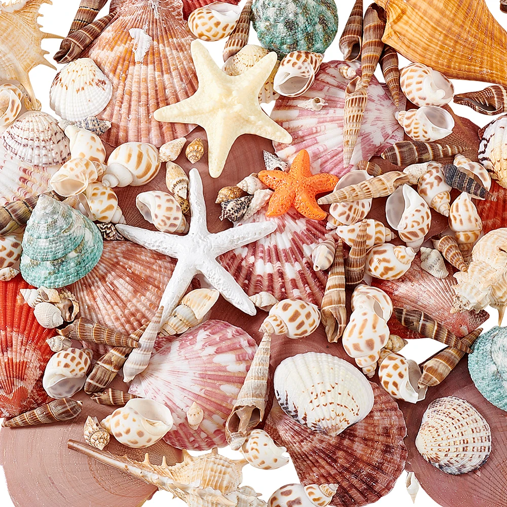 

14 Styles Shell Ornaments Micro Landscape Fish Tank Decoration Starfish Shell Shape Mixed Color 8~130x8~70x2~42.5mm