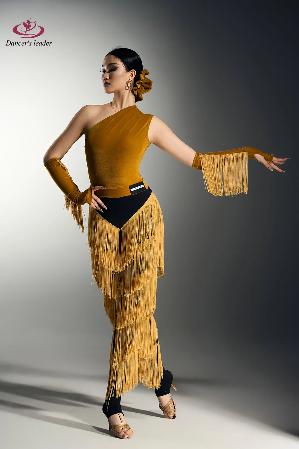 Robe de danse latine pour femmes, pour abonnés haut de gamme, avec pantalon à franges, vêtements professionnels de scène pour adultes