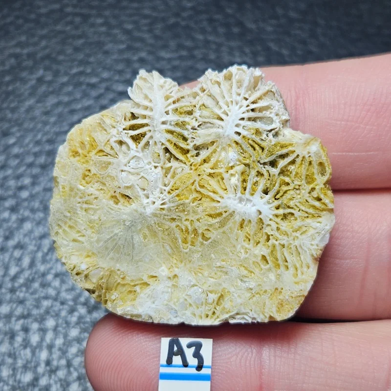 Natural agate crystal rough surface rough stone instructional supplies for Halloween decoration