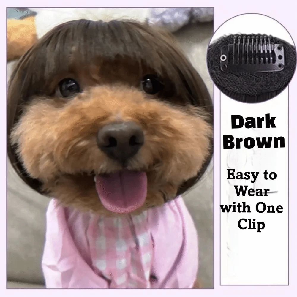 Funny Costume Fluffy Texture Pet Wig Afro Fringe Wavy Hair Cat Wig Comfortable Wear Adjustable Fit Dog Wig Photo Prop