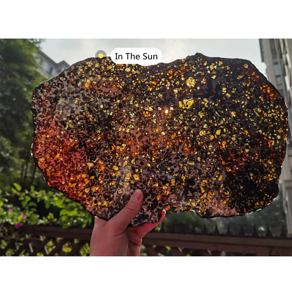 High-quality Kenyan olive meteorite 998g top-quality olive meteorite large slice length 39CM width 28CM