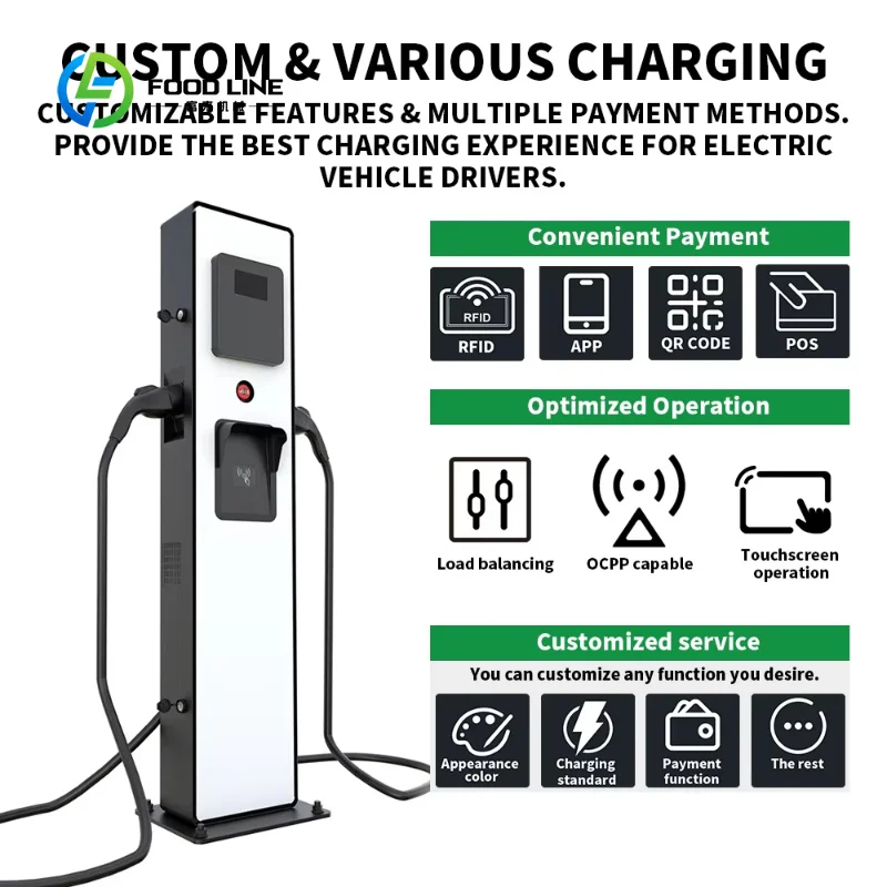Customized Commercial DC EV Charger Station, 20/30kW Two Cable EVSE Fast Charging Pile for Hotel Private Parking Service