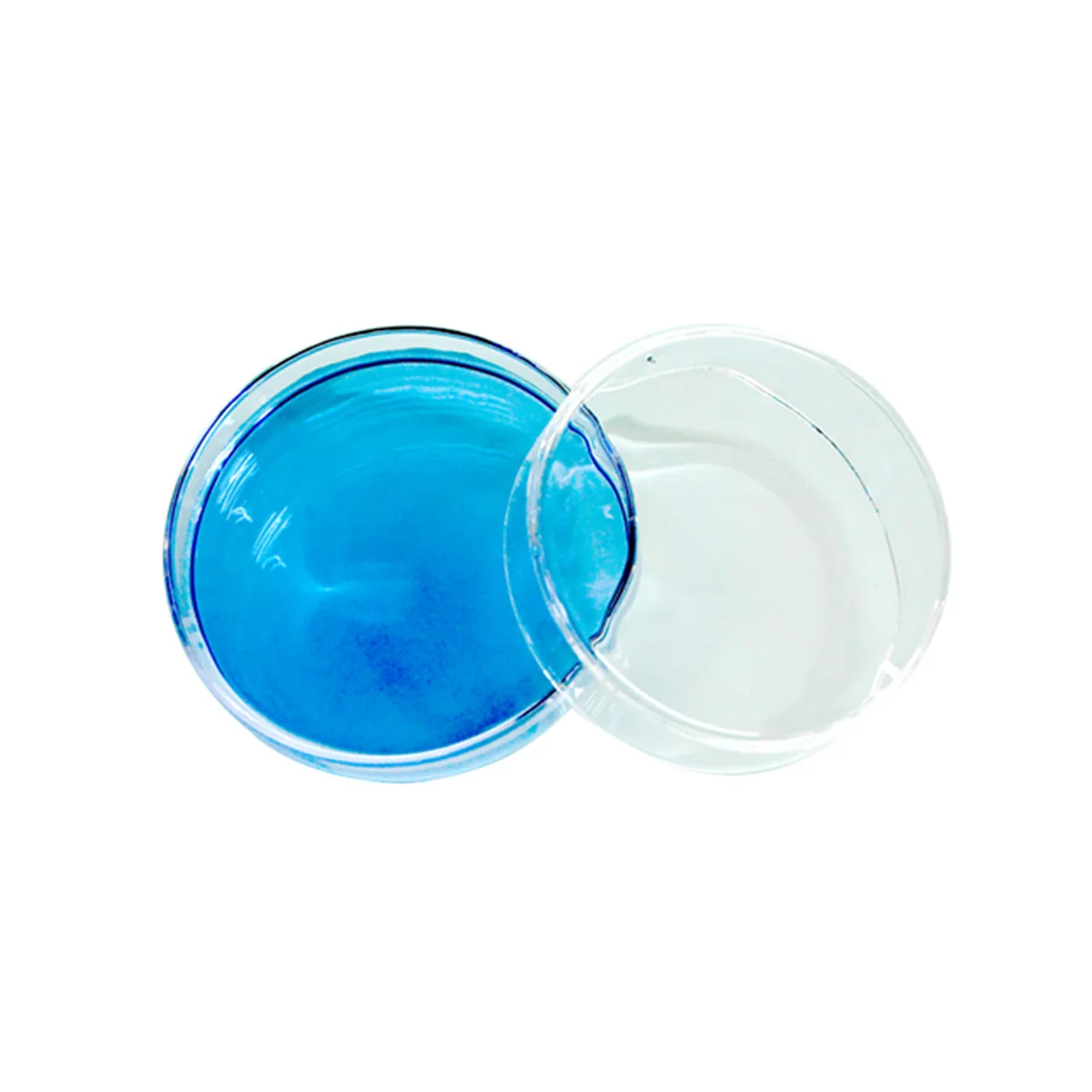 

10 Pcs Petri Dish Plastic Sterile Box Chemical Tableware Glass Cup Dishes with Lid Sectional
