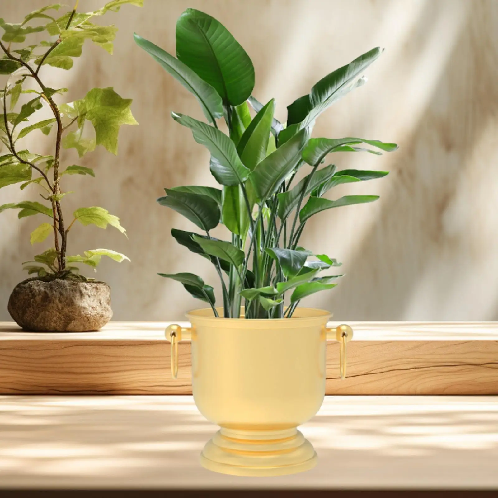 植木鉢-鉄製フラワーアレンジメント-モダンなギフト-植物用フラワーコンテナ-屋内植物用-ファームハウス本棚-テーブルトップキャビネット