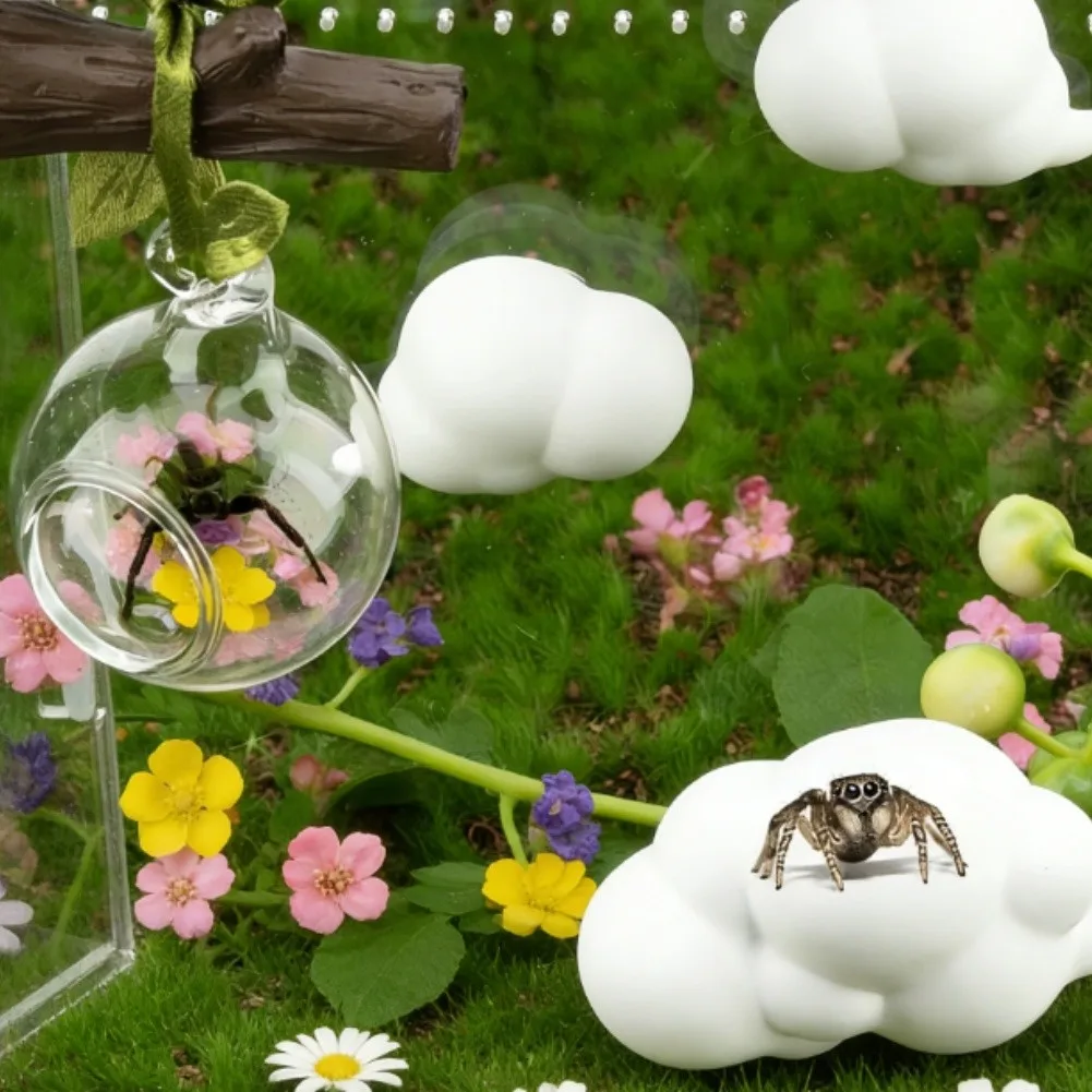 Glass Ball Habitat with 4 Piece Jumping Little Creatures Hideout Platforms Providing Naturalistic Environment for Display
