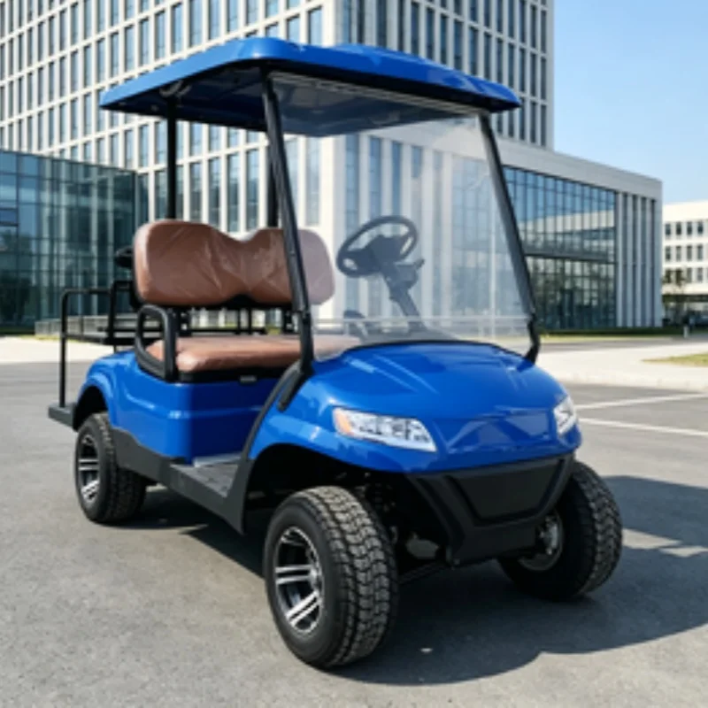 Carrito de golf eléctrico de litio de gran demanda, buggy de playa, vehículo turístico, ruedas de 12 pulgadas personalizadas, correas para bolsa de golf y cesta