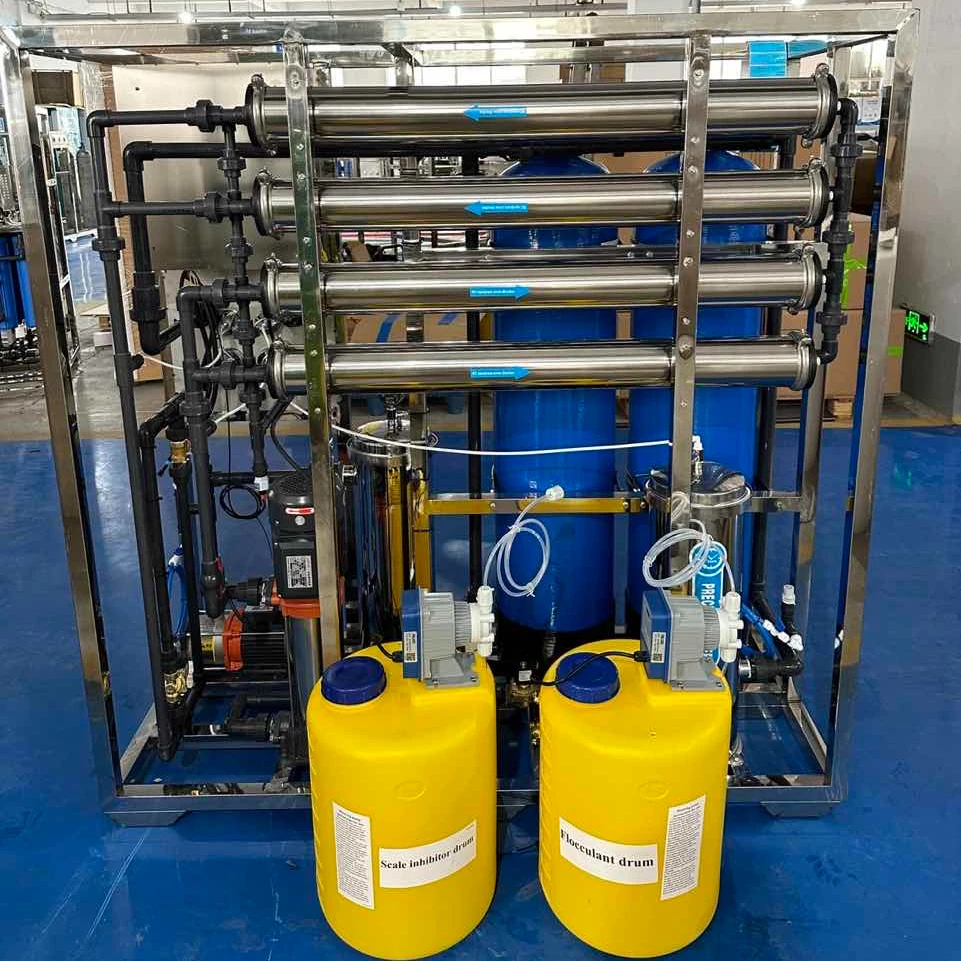 Reverse Osmosis Water Filter System 99% High Purification 304/316 Stainless Steel Customizable Capacity 220V/110V/380V