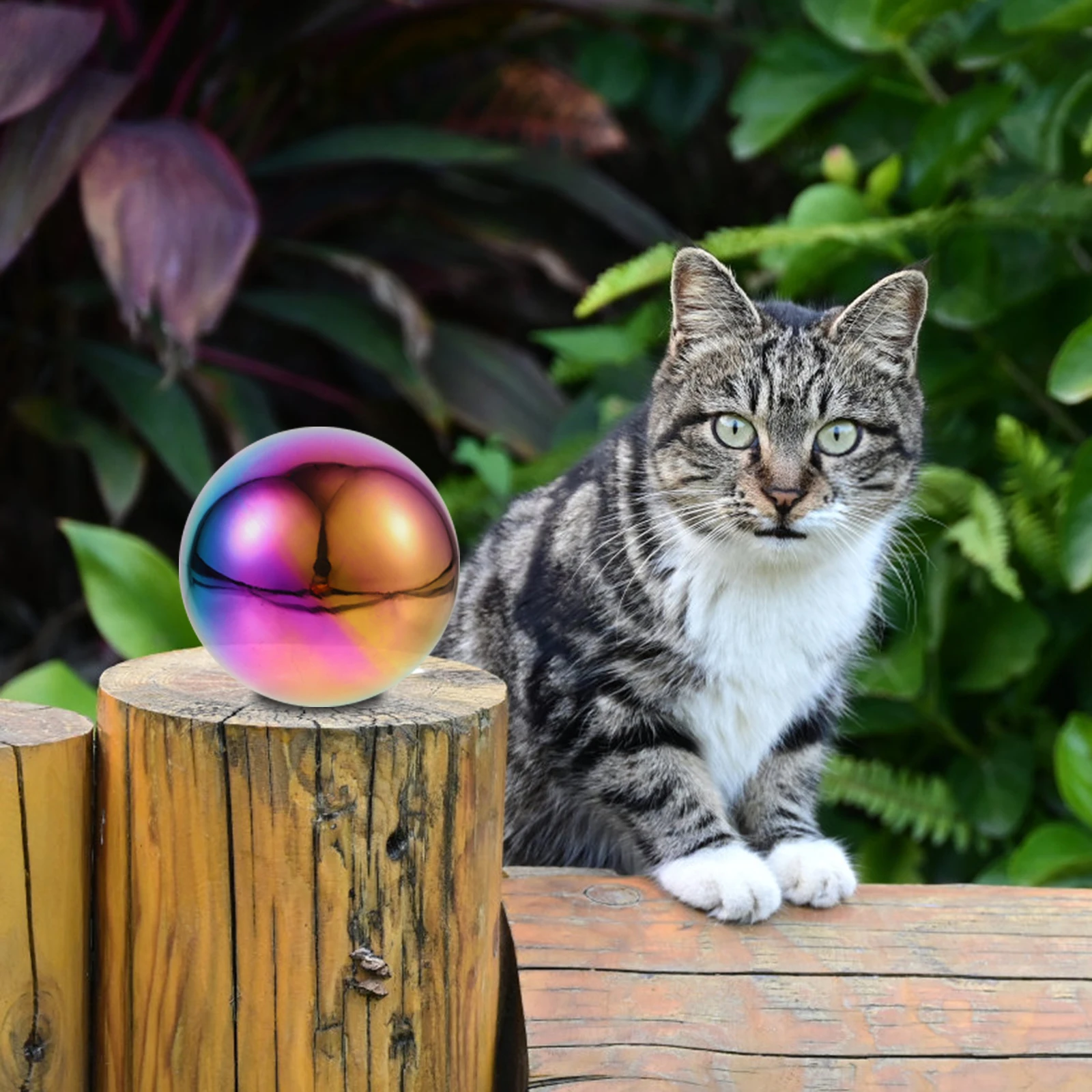 

5 Pcs Stainless Steel Balls 304 Grade Hollow Mirror Decorative Gazing Globes Garden Metal Sphere 100mm Colored Reflective