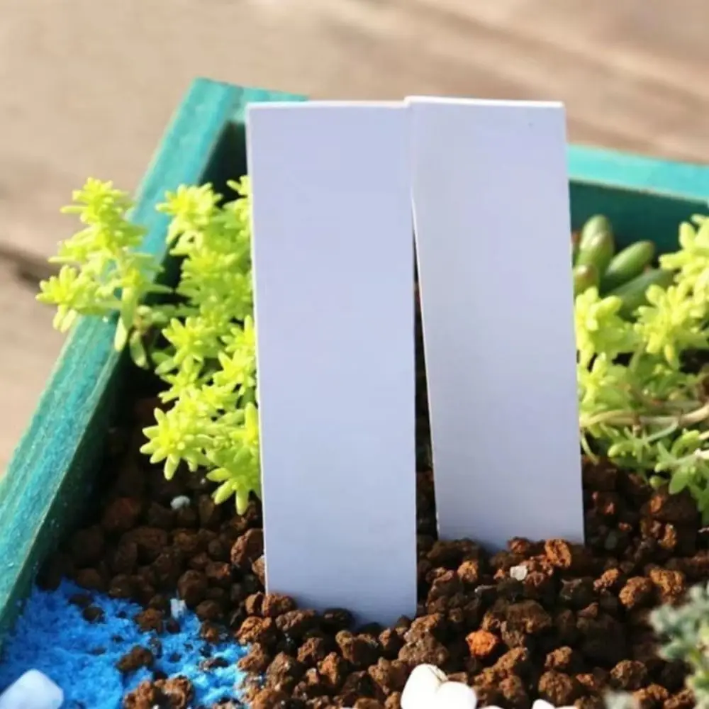 100Pcs Plastic Material Plant Tags 5*1cm Size DIY Tool Plant Markers Reusable Sun Protection Seedling Tray Mark