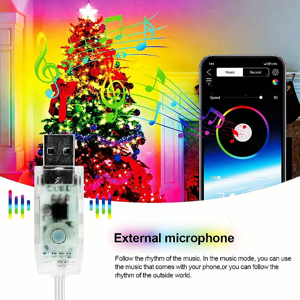 USB LED Smart app RGBIC Fairy String Lights Strip WS2812B 5V Waterproof With 24Keys Remote Bluetooth Music Control 5M 10M 15M