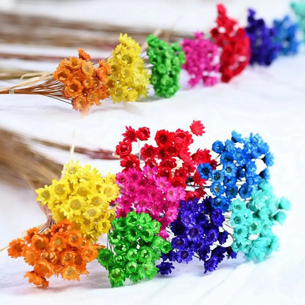 Flower UV Resin Filler Epoxy Resin Real Flower Natural Dried Flowers Bouquets Dry Flowers Preserved Flowers