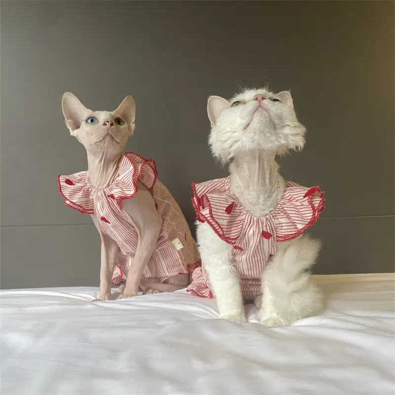 Vestido de algodón para gatos Devon Rex y Sphynx con cuello de encaje - imagen 5