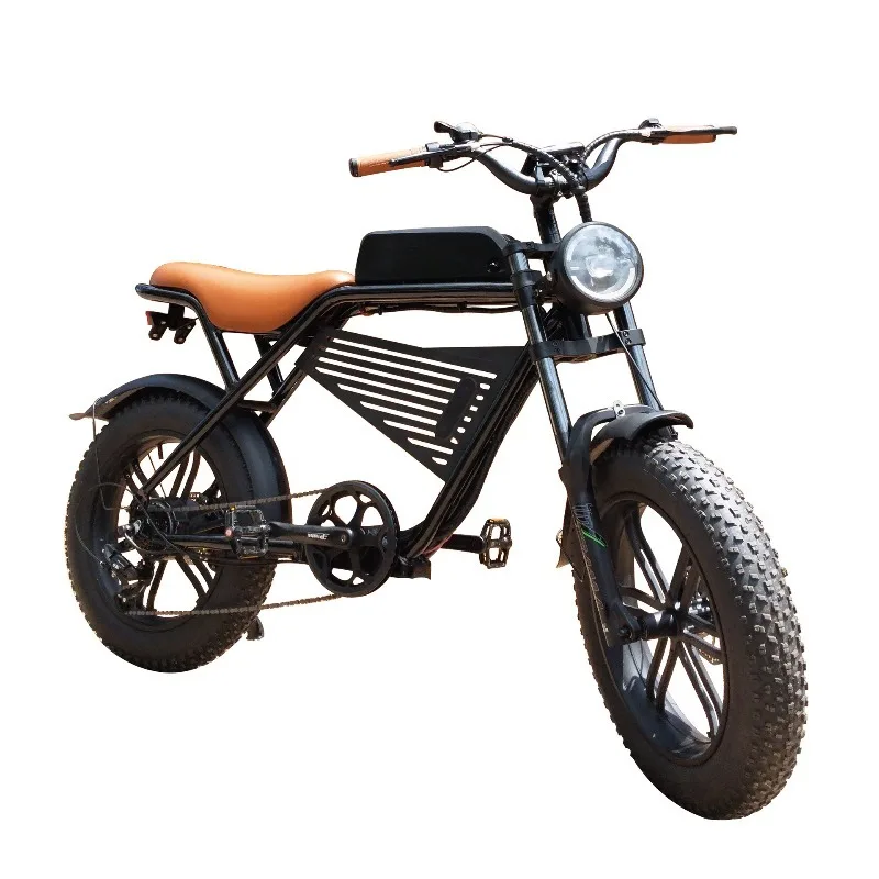 

20 inch snow tire 48V aluminum alloy off-road mountain bike bike