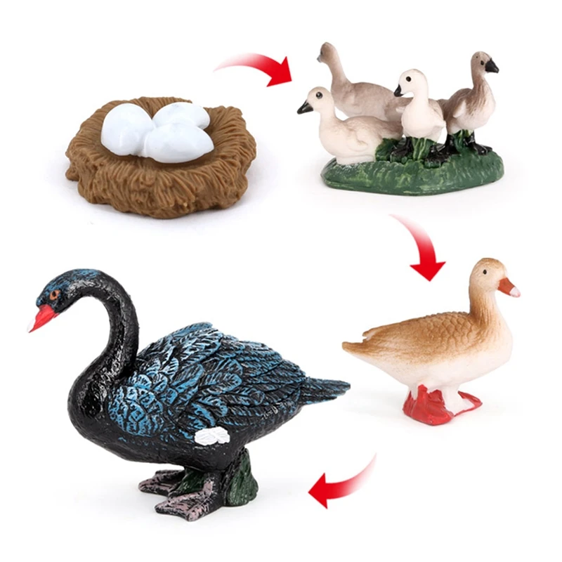 4 PCS Goose Farm Animal Life Cycle Model Simulation Animal Growth Cycle Figure Figurine Set Kid Toys Gift