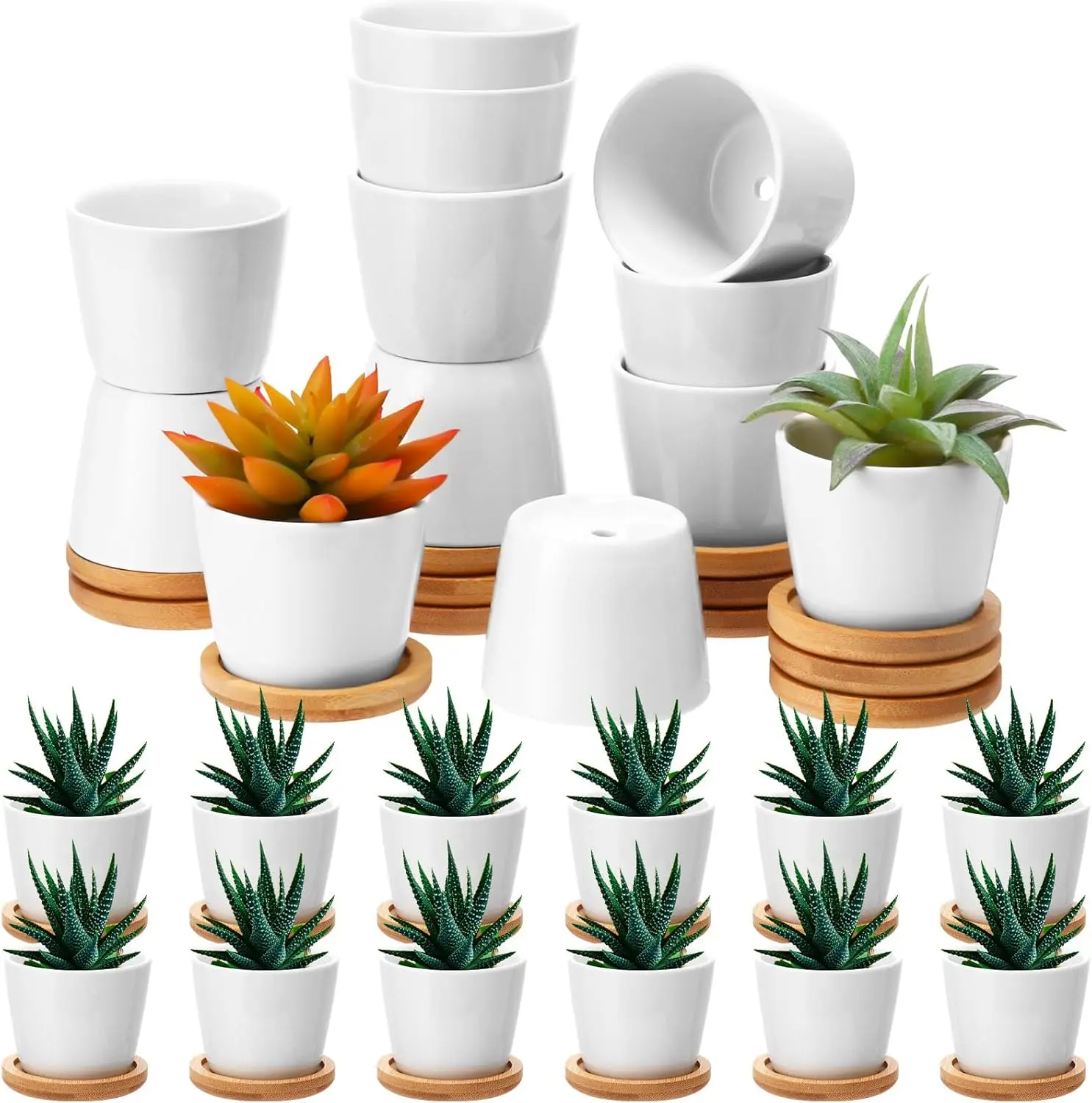 

24 Pack 2.5 Inch Mini Succulent Plant Pots Easter Small Ceramic Flower Pot with Bamboo Tray Garden Cactus Herb Container