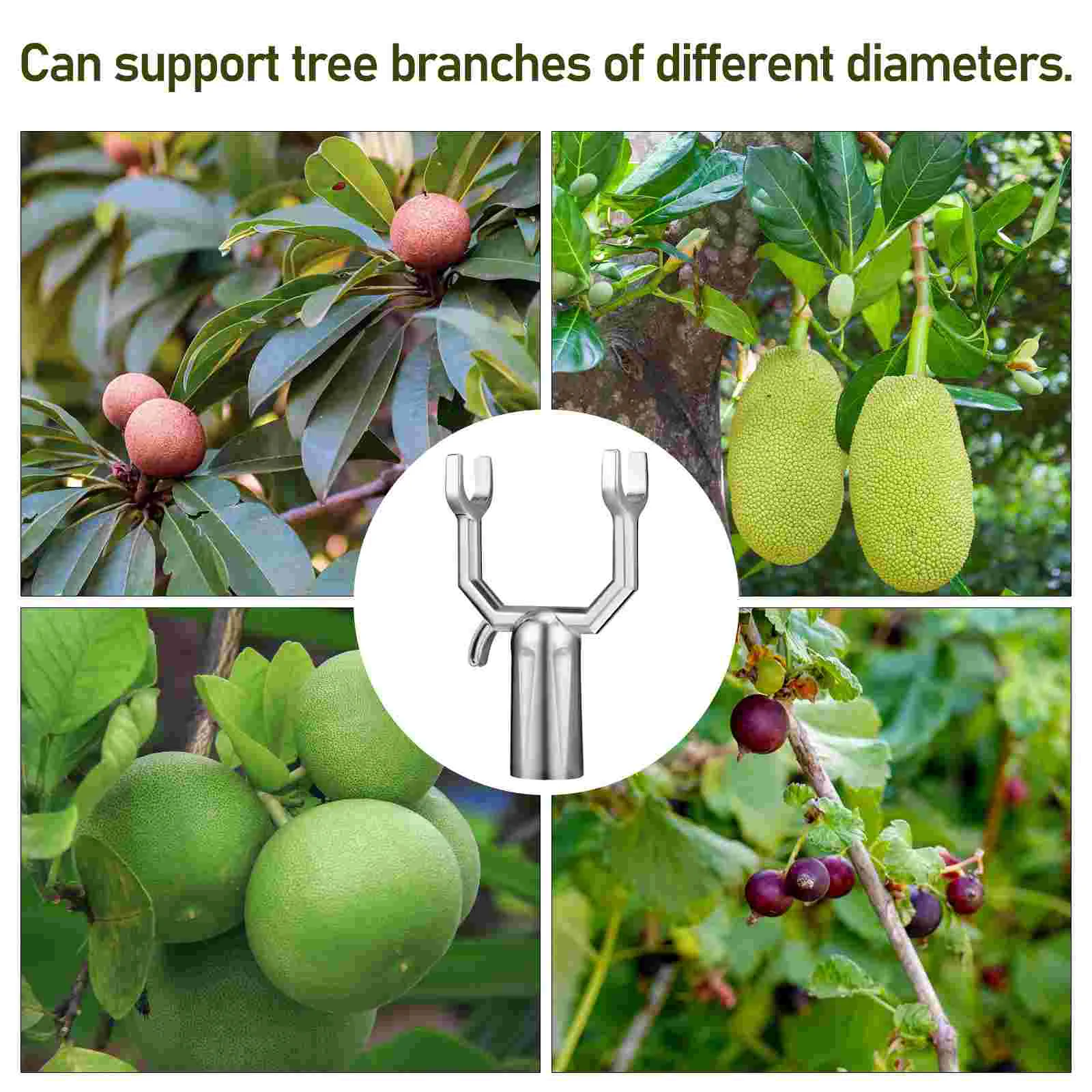 6 Pcs Plant Branch Support Tree Propping Brace Crutch Supports for Leaning Heavy Fruit