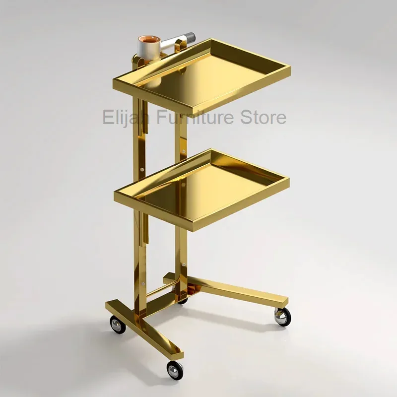 

Aesthetic Beauty Salon Furniture Trolly Saloon Accessories Trolley 2-tier Pink Organizers Trolleys Professional Makeup Manicure