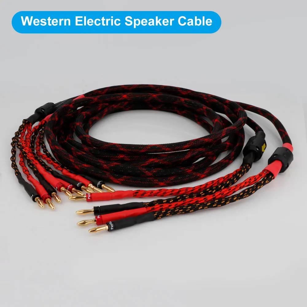 Kabel audiofilski HIFI banan na wtyczka bananowa Biwire HI-End Western elektryczny kabel głośnikowy przewód głośnikowy linia Audio