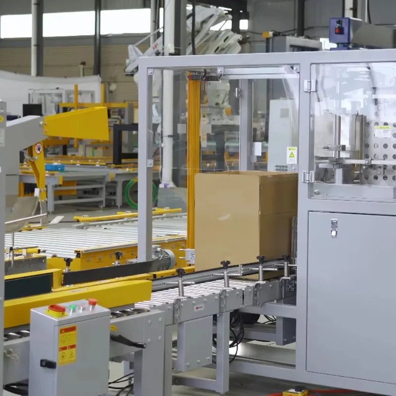 Vertical Horizontal Tray Carton Packer Smart Servo Packaging Line Case Erecting Equipment Custom