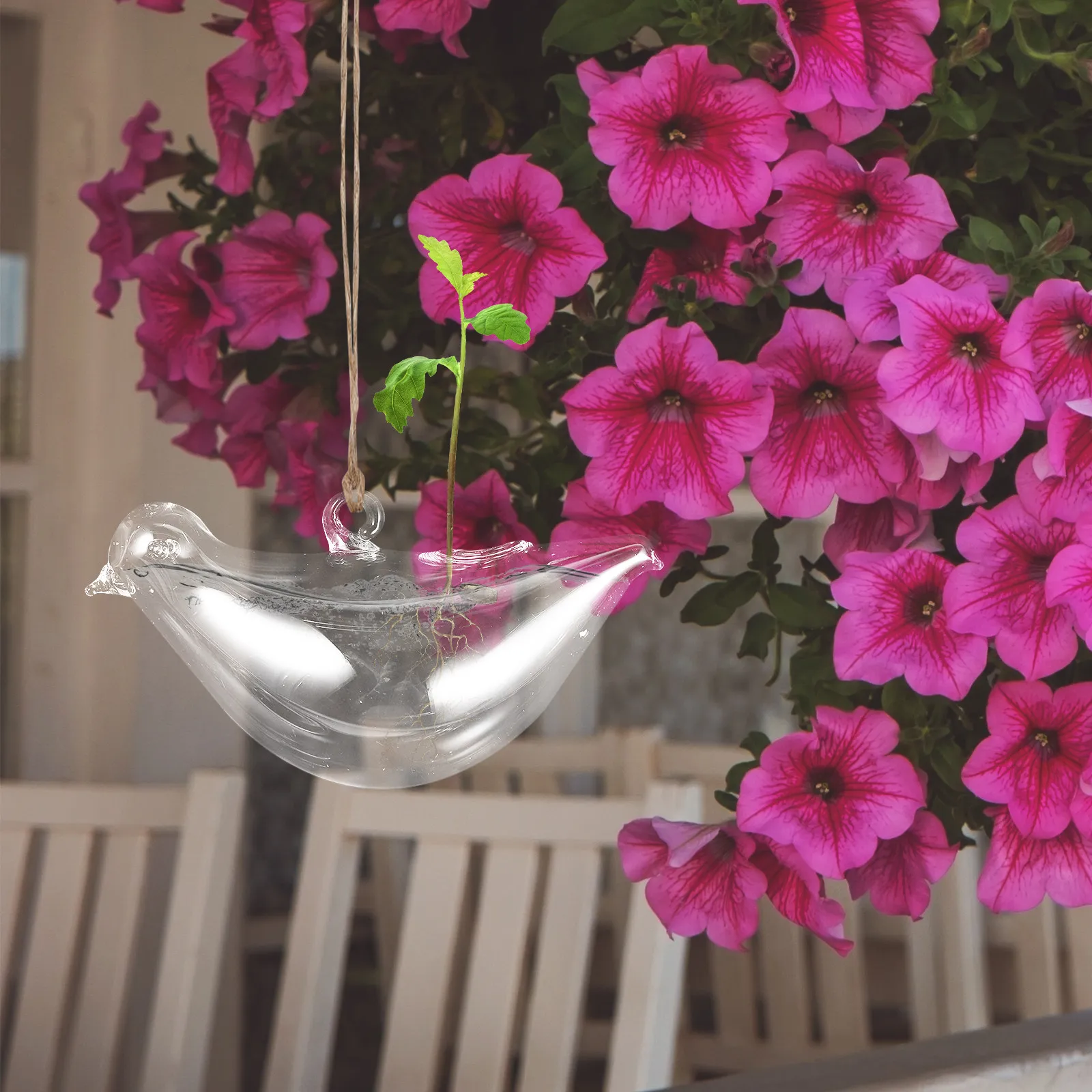 3Pcs Hydroponic Water Plant Vase Bird Shape Transparent Glass Hanging Wall Planter Modern Flower Vase Indoor Propagation Station