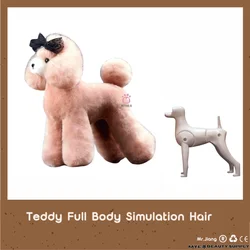 Asia Fusion Pet Grooming Teddy bear mannequin Model dog 1 Dog with 1 Whole  body wig 1+1 kit