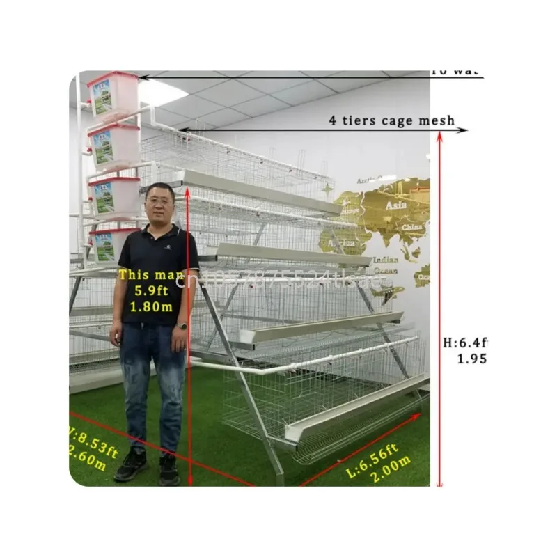 4 Tiers 128 Chickens Breeding Poultry Layer Cage Galvanized Battery Laying Hens Chicken（advance）