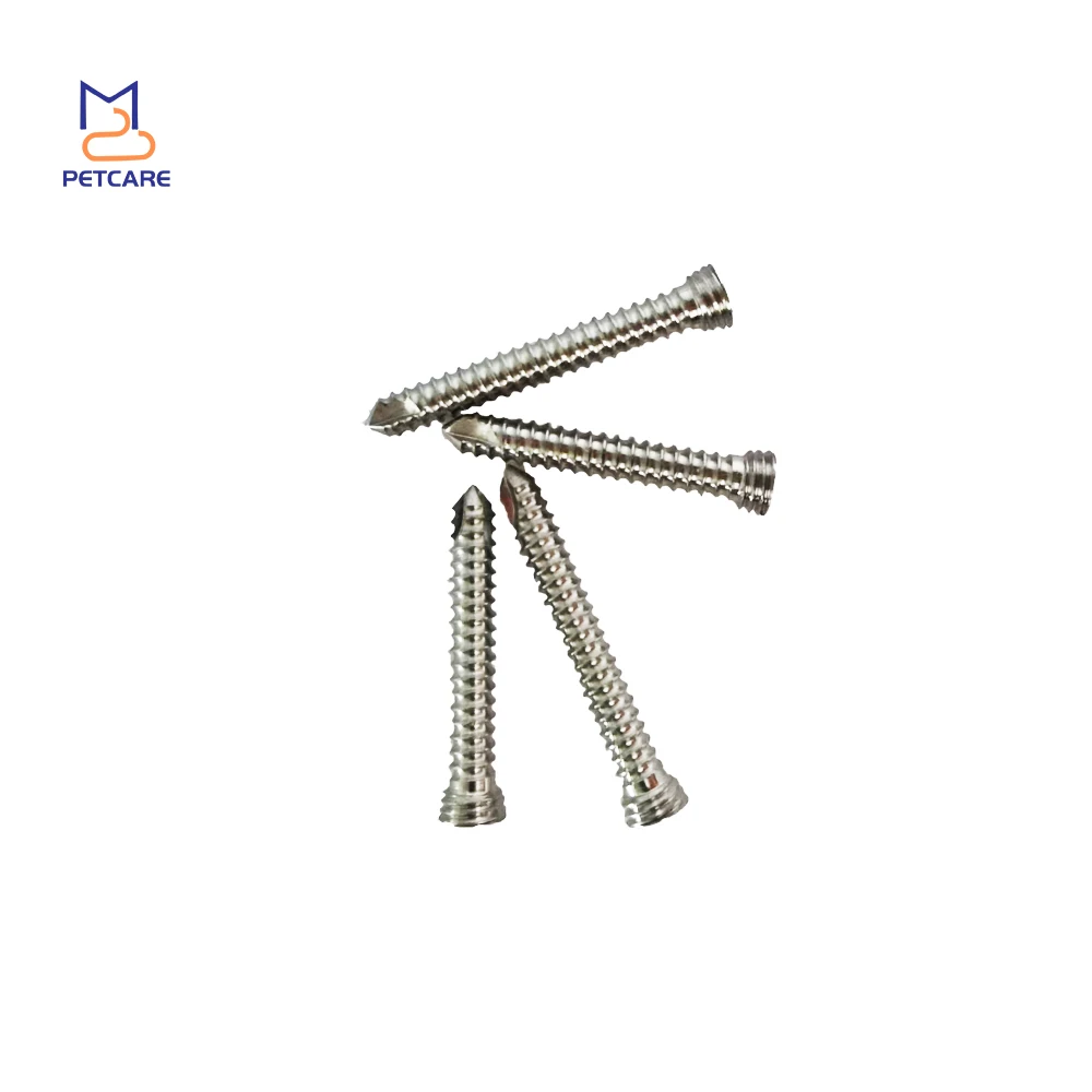 2.4mm SS Self-Tapping Stardrive Locking Screws for Pets, Veterinary, Orthopedics, Surgical Implants, Dog Accessories,Pet Product