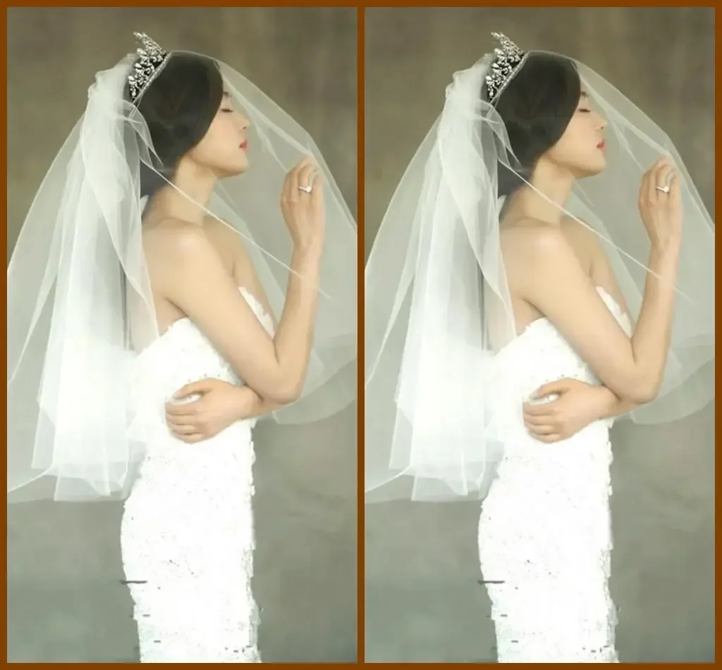 Cheap Two Tiers Face-Hiding Bridal Wedding Veils Waist Length Short Tulle White Veils with Comb