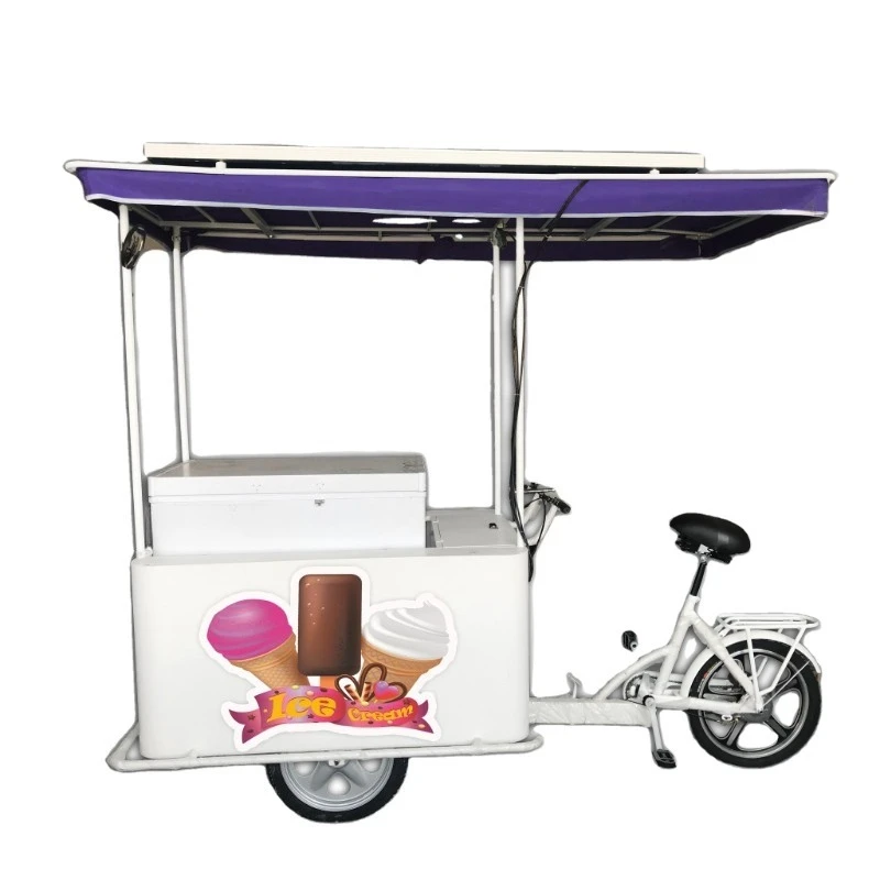 208L 12V solar powered ice cream freezing tricycle 7.3 cubic feet fish and seafood rickshaw tricycle